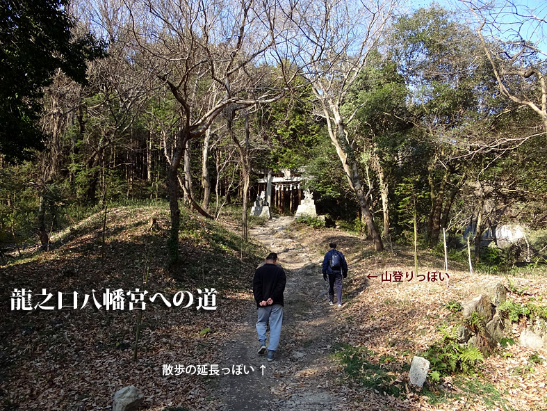 07 I先生は散歩の延長っぽいぞ