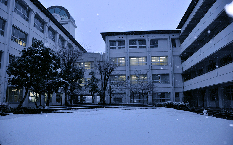 雪1