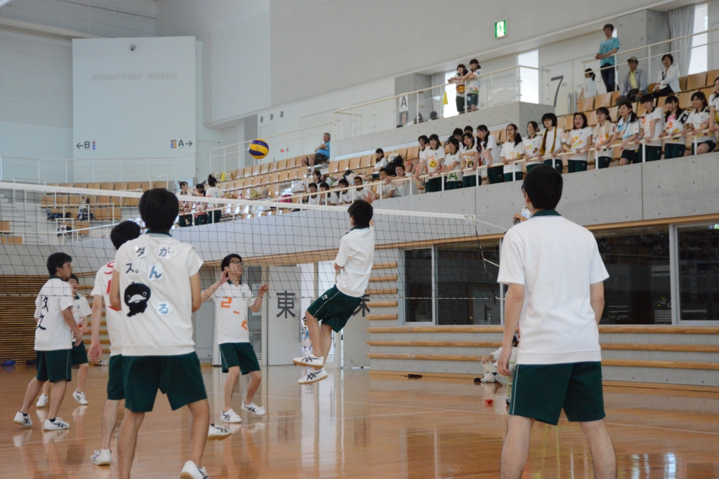DSC_2942 copy