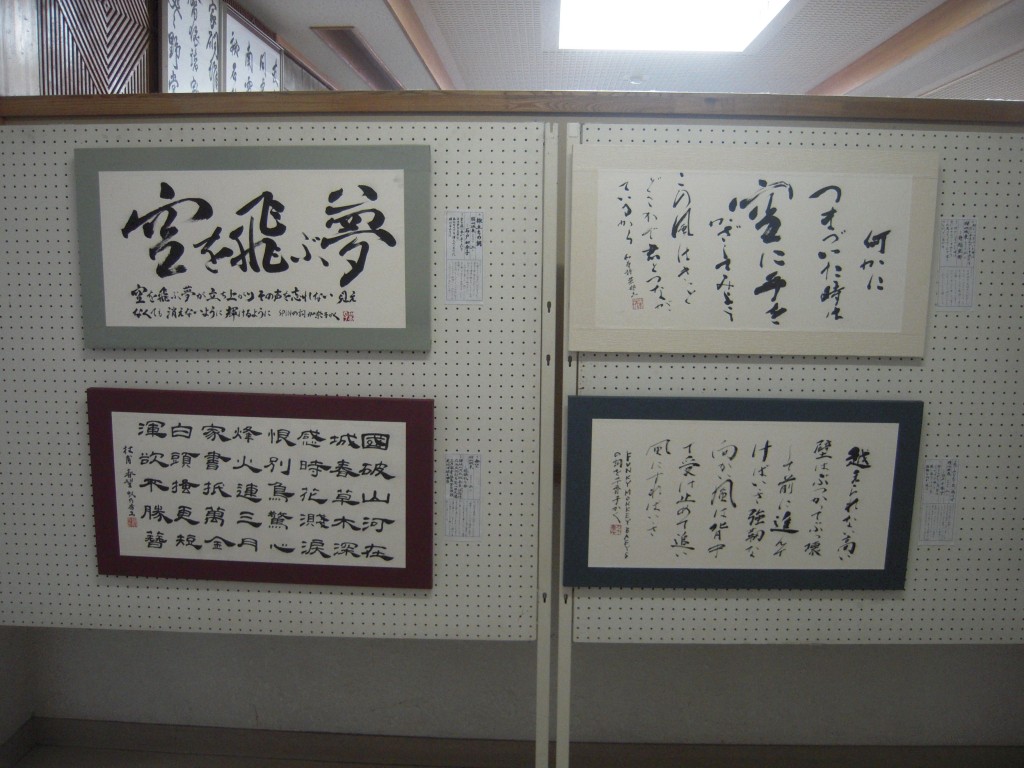 DSCN2095