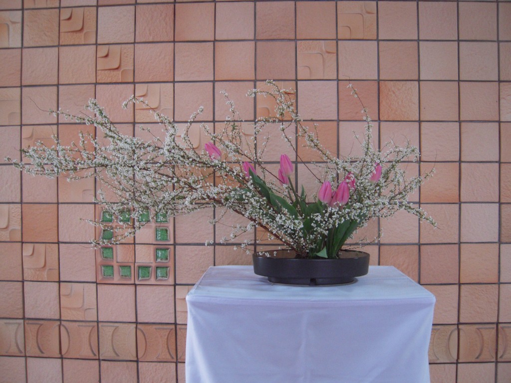 DSCN2385