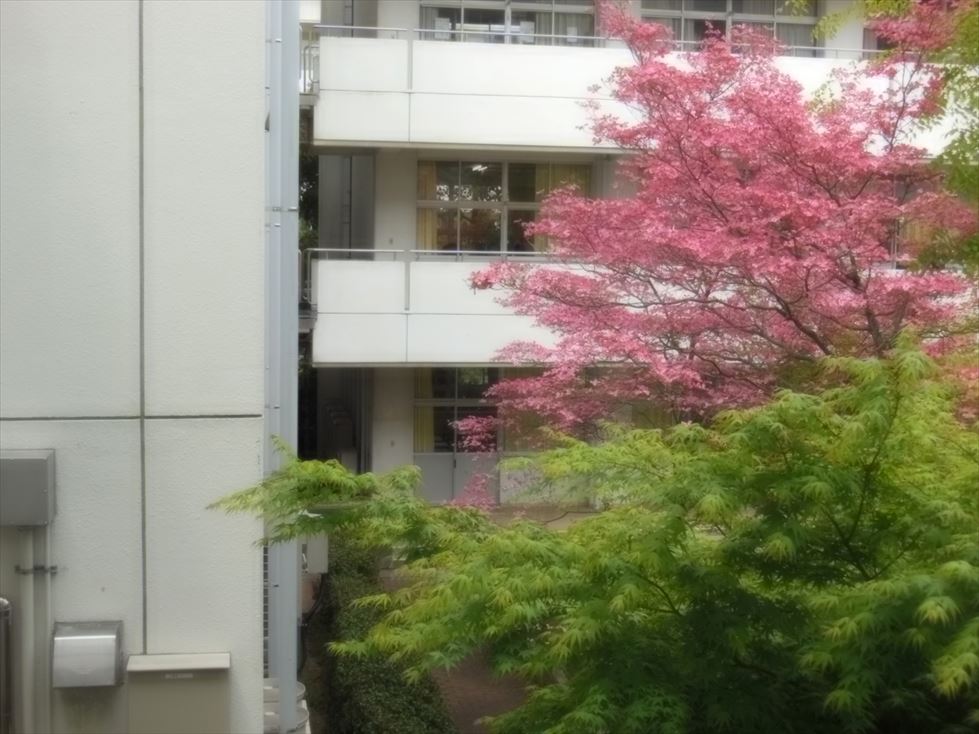 DSCN2878_R