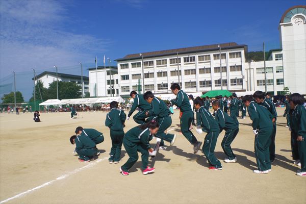 UTK_5309_R