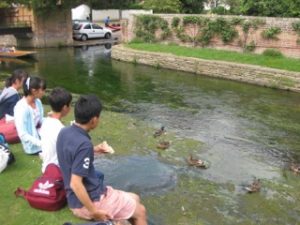 IMG_0018 (1)