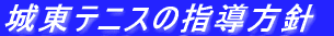铌ejX̎wj